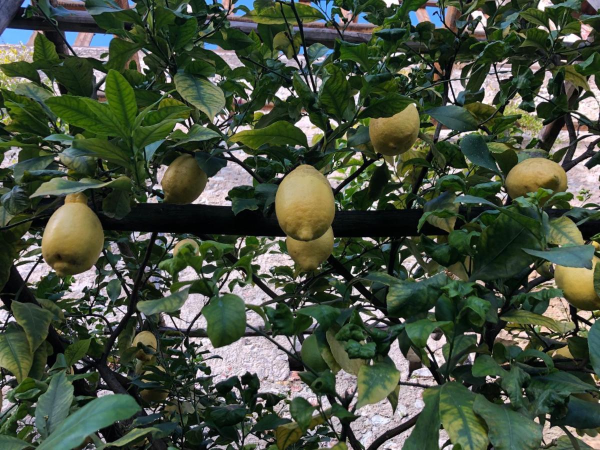 קומאנו טרמה Appartamento Trentino II מראה חיצוני תמונה